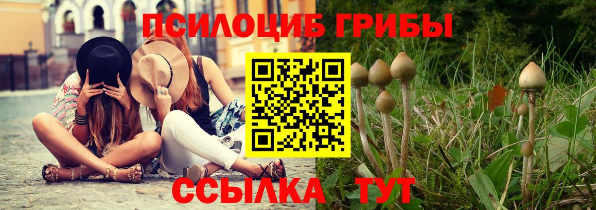 Галлюциногенные грибы Psilocybe Челябинск